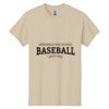 Heavy Cotton 100% Cotton T Shirt Thumbnail