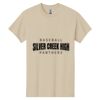 Heavy Cotton 100% Cotton T Shirt Thumbnail