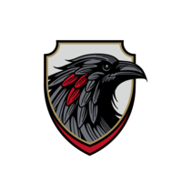 CorvusProtection Thumbnail